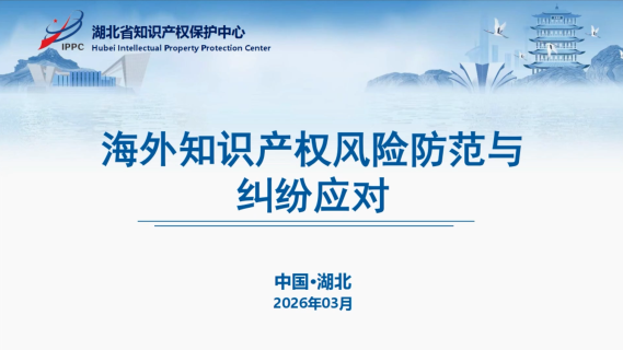 海外知识产权风险防范与纠纷应对