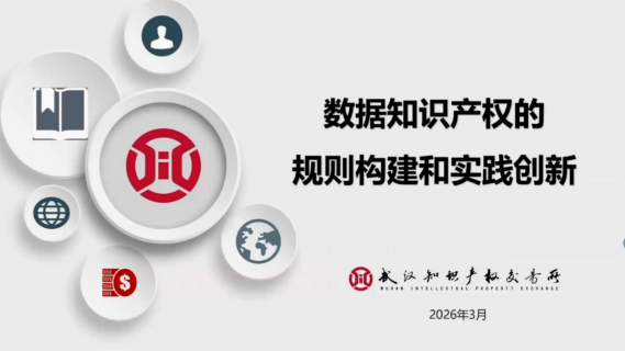 数据知识产权的规则构建和实践成效