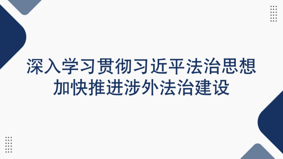 深入学习贯彻习近平法治思想 加快推进涉外法治建设