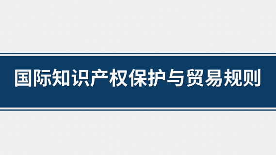 国际知识产权保护与贸易规则
