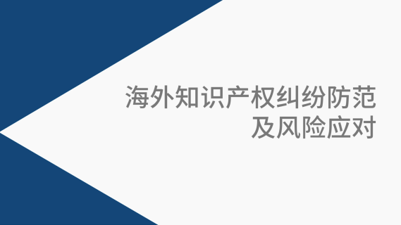 海外知识产权纠纷防范及风险应对