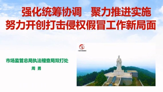 《打击侵权假冒工作业务》（回看）