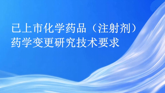 已上市化学药品(注射剂)药学变更研究技术要求和案例分析