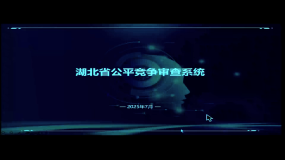 湖北省公平竞争审查系统