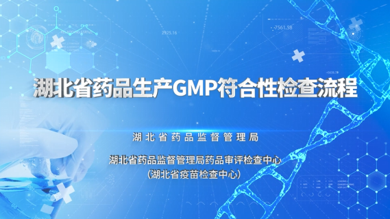 【专业知识 （检查实务）】湖北省药品生产GMP符合性检查流程