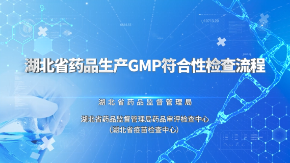 【专业知识（检查技能）】湖北省药品生产GMP符合性检查流程