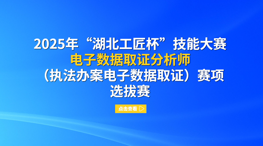 2025年“湖北工匠杯”技能大赛——电子数据取证分析师（执法办案电子数据取证）赛项选拔赛
